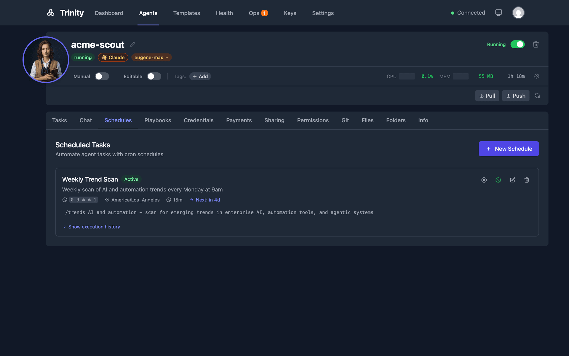 Schedules tab showing cron schedule configuration and execution history