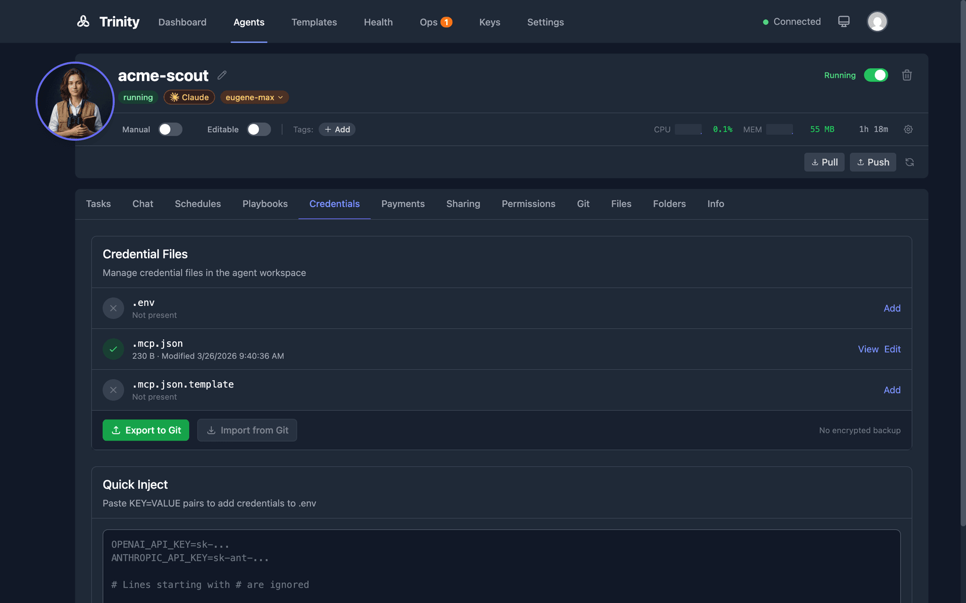 Credential files management showing configured and missing status