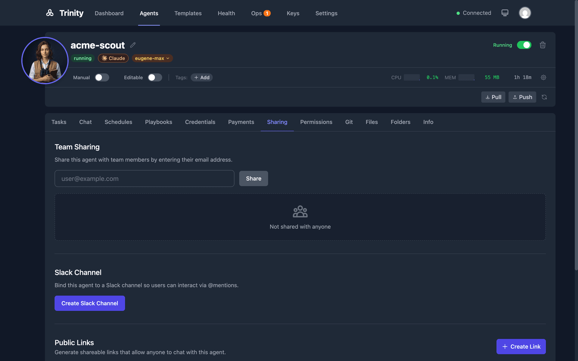 Agent sharing tab showing team sharing, Slack channel, and public links