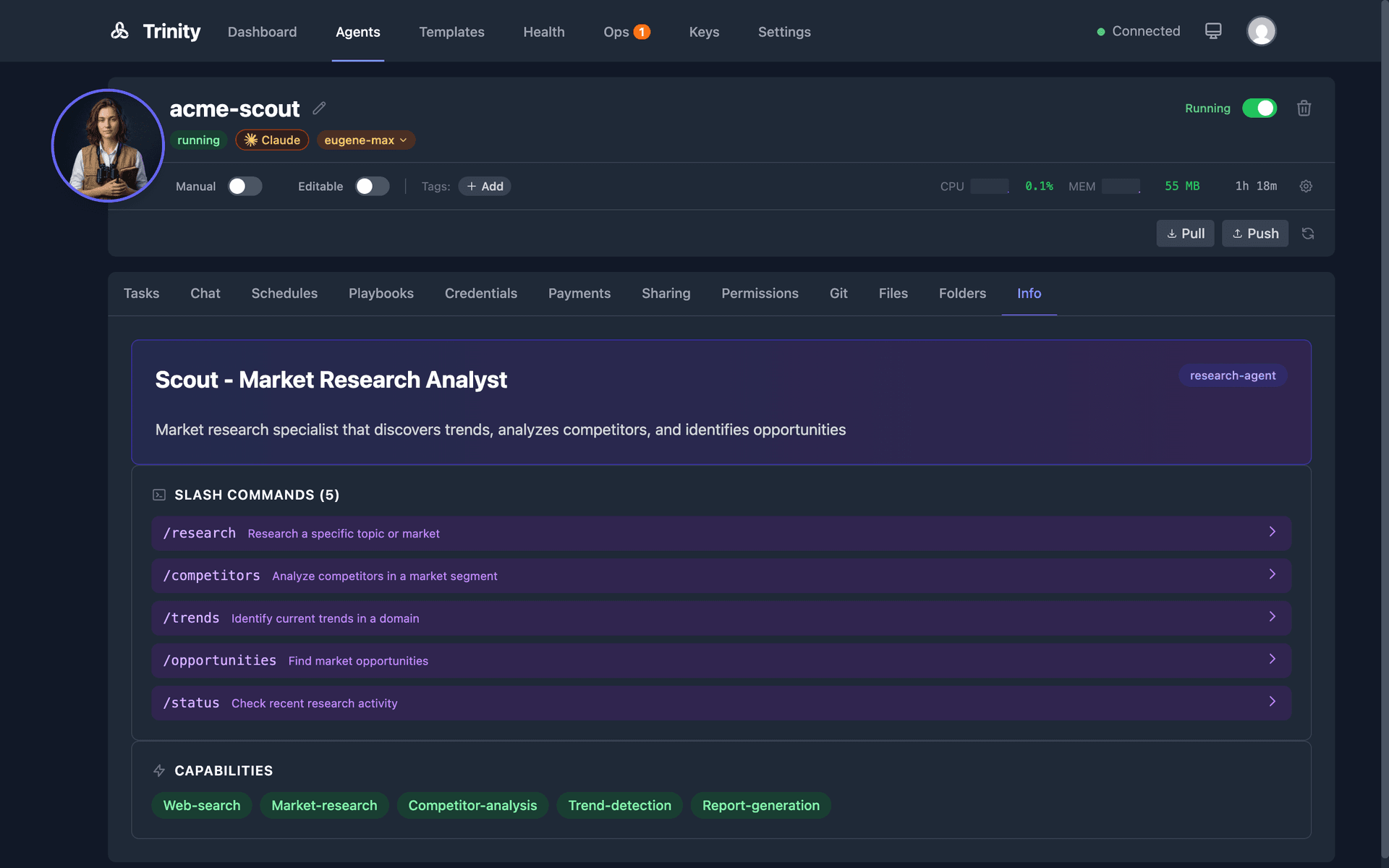Agent info panel showing slash commands, capabilities, and configuration